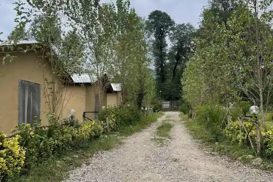 اقامتگاه بومگردی ارغوان-1