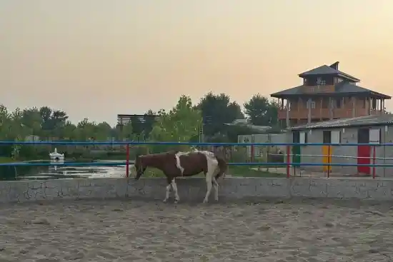 اقامتگاه بوم‌گردی شاتوت