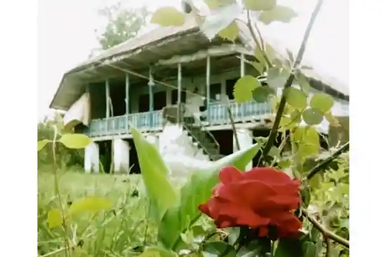 اقامتگاه بوم‌گردی محمدی