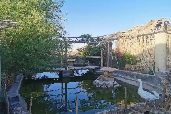 اقامتگاه بوم‌گردی ننو عذرا