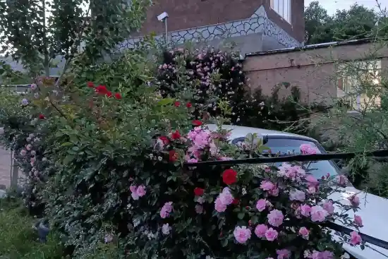 اقامتگاه بوم‌گردی پیرصفا (هه وار)