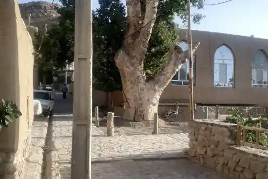 اقامتگاه بوم‌گردی  ماسوله کویر