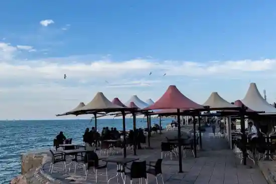 رستوران دلفین-1