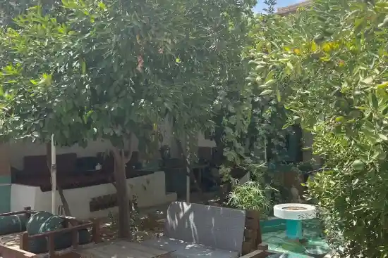 کافه خانه سبز-1