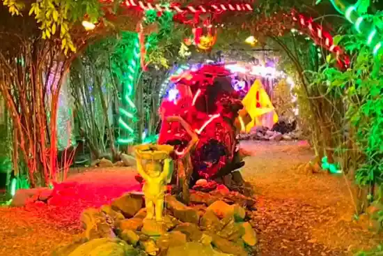 کافه سرخ پوست-1