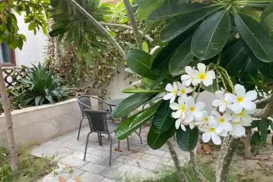 بوتیک هتل کوت