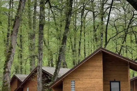 هتل جنگلی میزبان