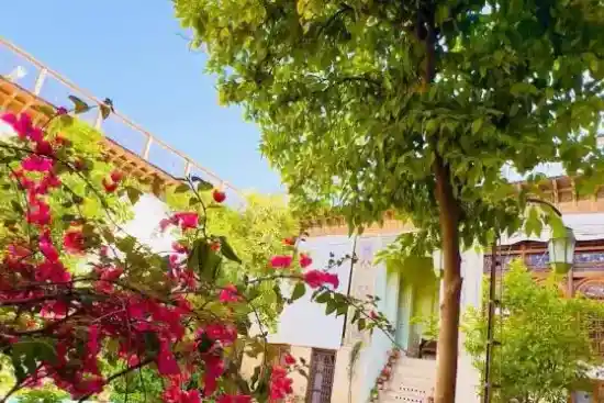 اقامتگاه بوم‌گردی خانه شیراز