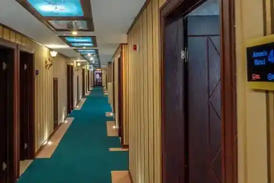 هتل آرامیس تهران-1