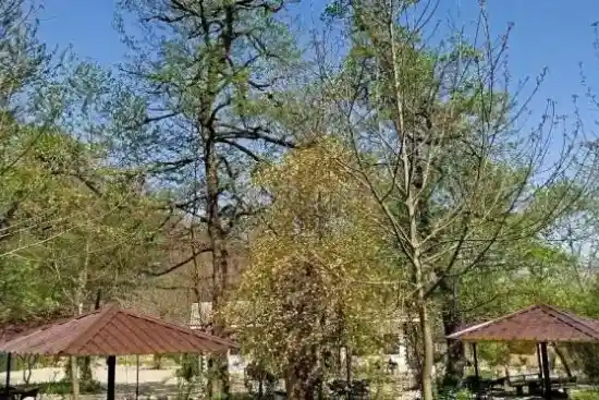 کلبه اکو کمپ سه هزار