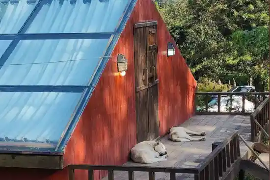 اقامتگاه بومگردی هدهد