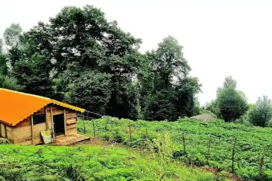 مجتمع گردشگری ییلاقی ماسال-1