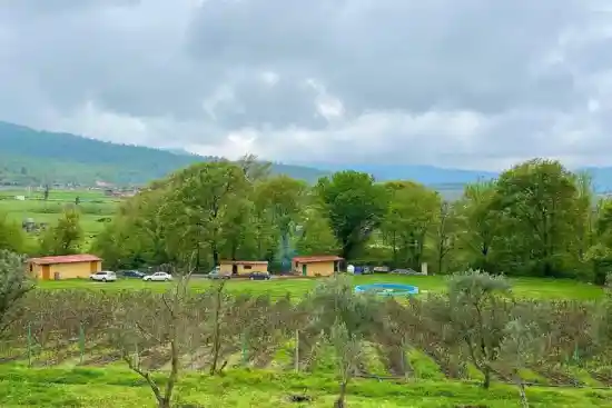 مزرعه گردشگری توسکا