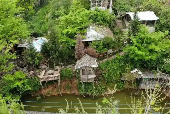 مجتمع گردشگری کلبه درختی