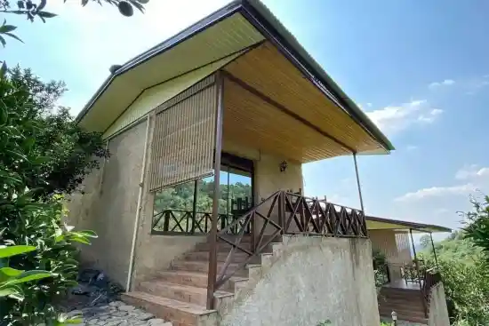 هتل ویشارده-1