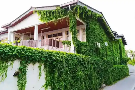 هاستل ماهور