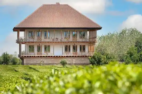 اقامتگاه بوم‌گردی تی باغ