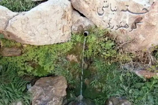 چشمه کوثر