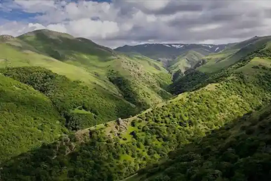 جنگل حاتم مشه سی