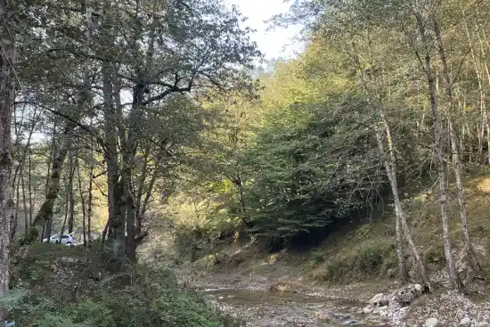 تفرجگاه رودخانه ازارک