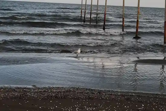 ساحل رضوانشهر