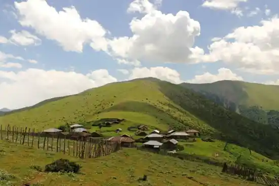 ییلاق گیاور