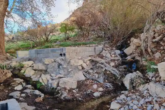 چشمه بیدبخون