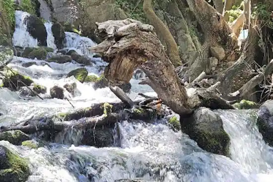 آبشار دم اسب