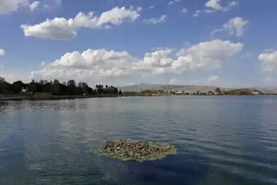 سراب نیلوفر