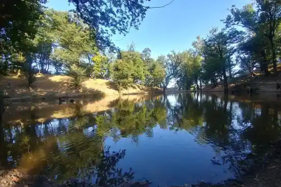 مرداب نیلکوه