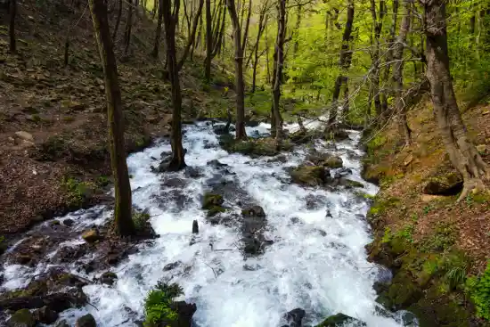 چشمه سفیدآب