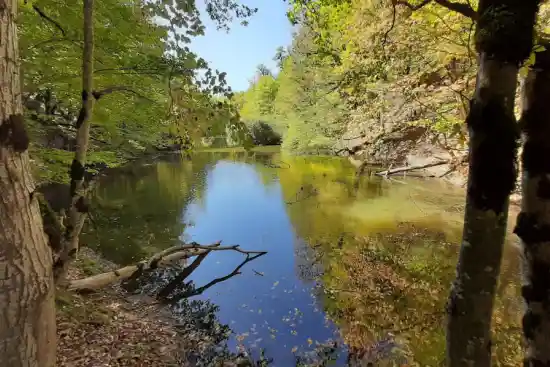 مرداب قره کله