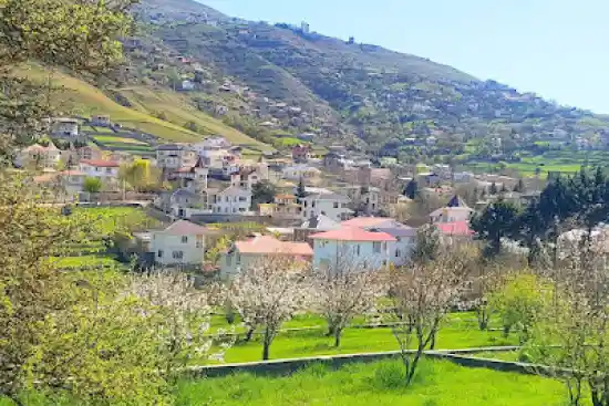 روستای کردیچال