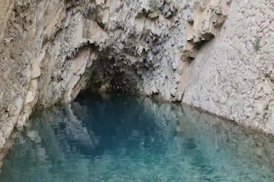 غار ماهی کور