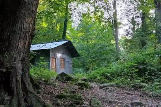 پارک جنگلی سرخ او