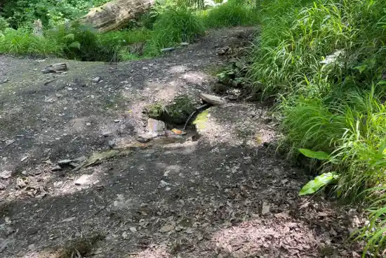 چشمه پنج افرا