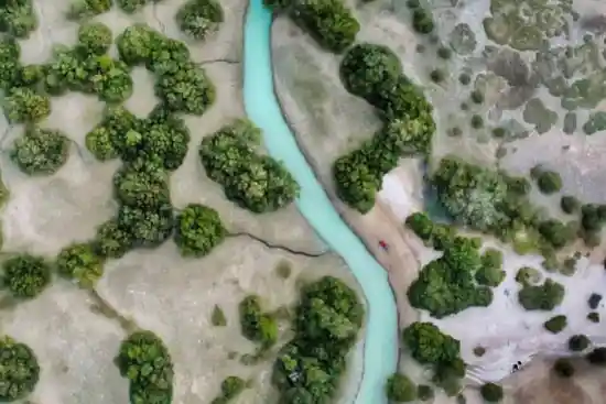 جنگل حرا ملگنزه