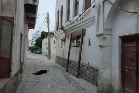 بافت قدیمی بوشهر