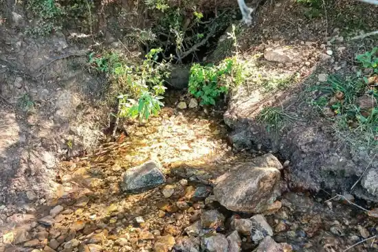 چشمه تنبوران