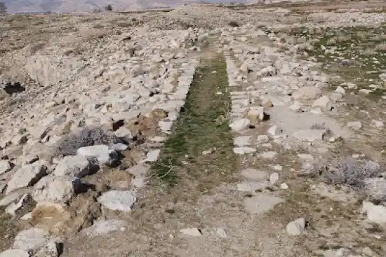 جاده شاهی ساسانی