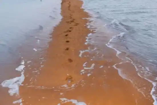 ساحل دوطرفه