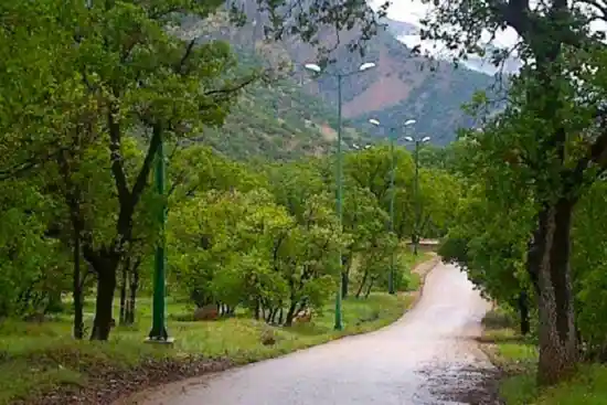 پارک جنگلی تشبندان