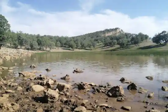 دریاچه بیوره