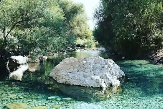 چشمه انجیری