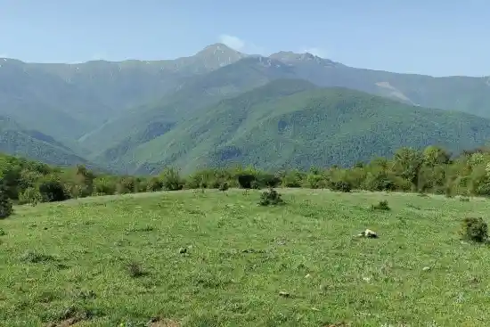 دشت دوم ابن