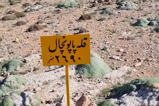 قله پاپونچال