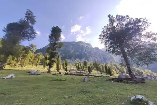 ییلاق کفتر خوانی