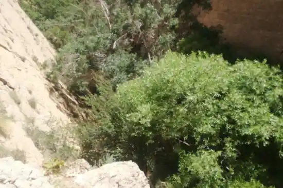 تنگه بغدیان