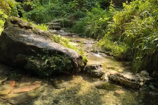 چشمه آسیابسر