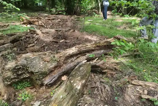 چشمه زینگال چال